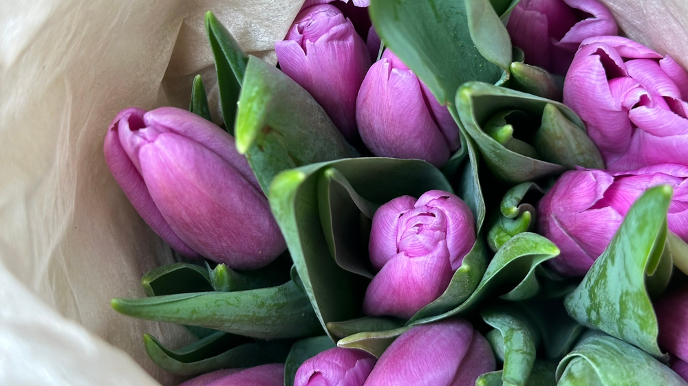 35 шт микс сиреневый и жёлтый