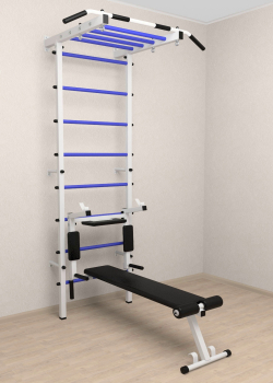 Шведская стенка Sv Pro рукоход 854 (Турник Pro рукоход/Брусья/стойка/Скамья)