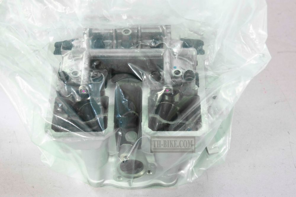 11002-0039. HEAD-ASSY-CYLINDER. Kawasaki KLX250 2009-2013.