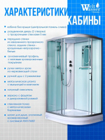 Душевая кабина WeltWasser  WW500 WERRA 1202 L 120х90 см,  прозрачное стекло, поддон низкий, крыша, левосторонняя
