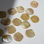 Ракушка из золотистого перламутра речных ракушек, 23мм