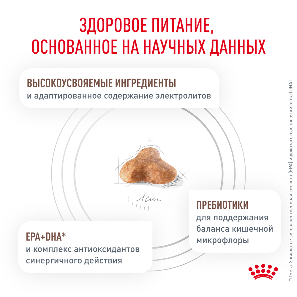 Сухой корм Royal Canin GASTROINTESTINAL FIBRE RESPONSE (ГАСТРОИНТЕСТИНАЛ ФАЙБР РЕСПОНС) диетический для кошек при запорах - 0,35 кг