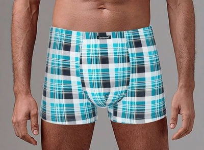 Классические трусы-боксеры в клетку (Размер: M) (Цвет: голубой)