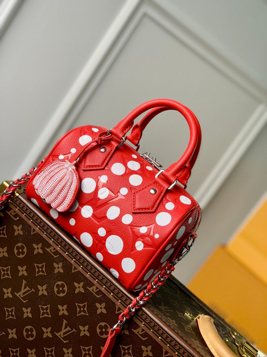 Louis Vuitton Speedy 20
