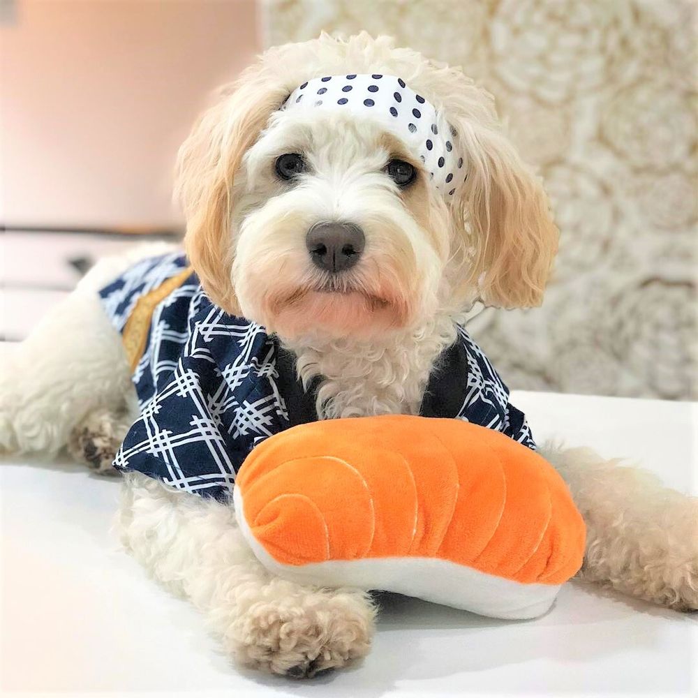 Игрушка NomNomz Суши ZippyPaws