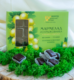 Мармелад из крыжовника в горьком шоколаде без сахара, 195 г