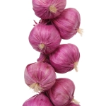 Муляж «Чеснок красный» связка 40см