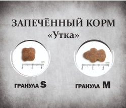 Гранулы