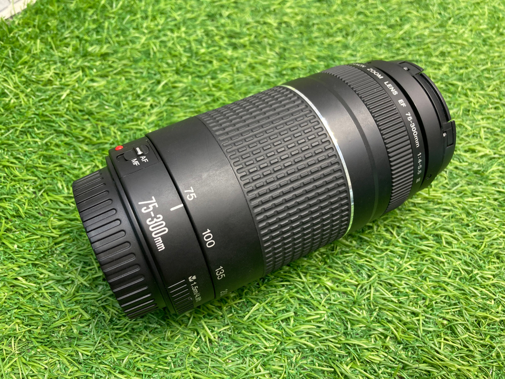 Canon EF 75-300mm 4-5.6 III