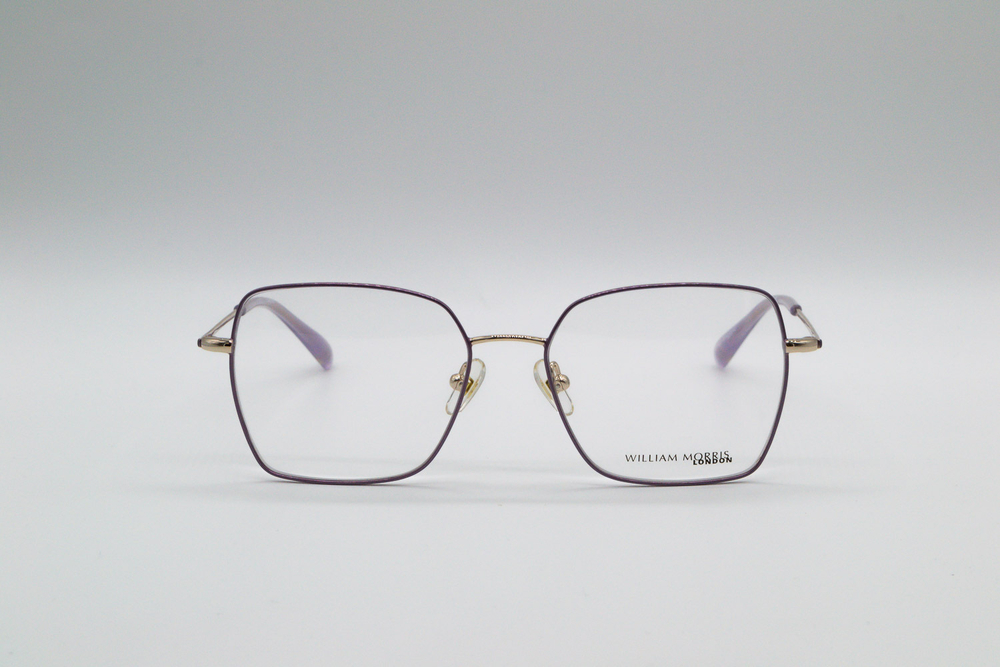 Изг. оправы William Morris London 50289 C3 53/16