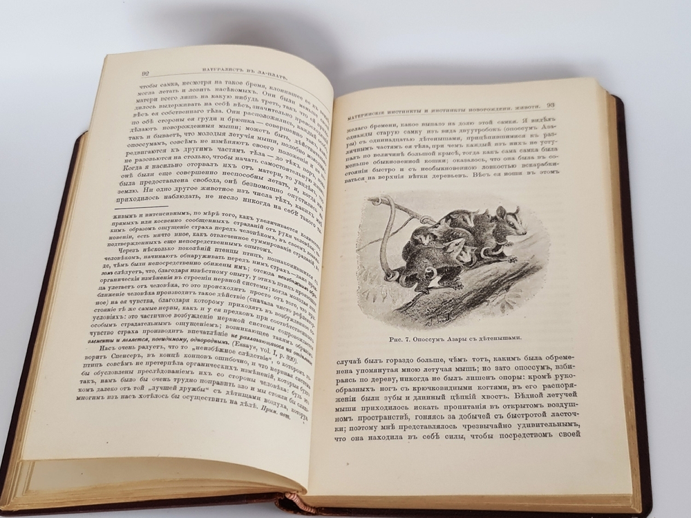 "Натуралист в Ла-Плате"  У.Г.Хадсон  1896 г. - антикварное издание