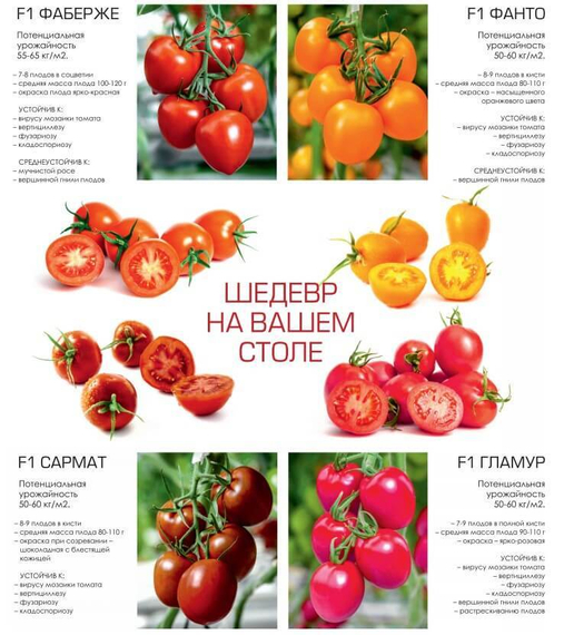 Яйца ФАБЕРЖЕ набор семян (Гавриш) – фото 4