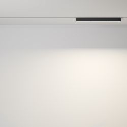 Трековый магнитный светодиодный светильник Maytoni   TR106-2-18W3K-B