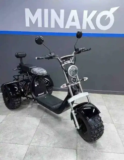 Электроскутер Minako Rex электрический
