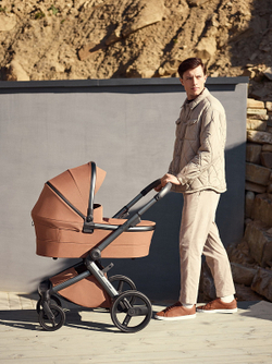 Детская коляска Anex l/type 3 в 1 Hazel