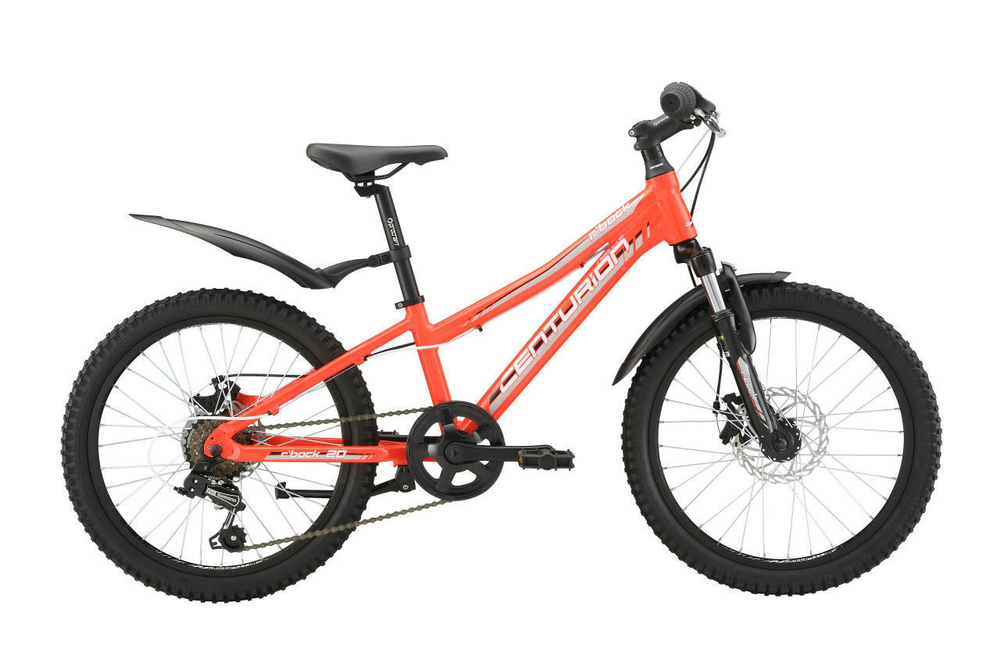 Детский велосипед Centurion R'Bock 20-D (2018)