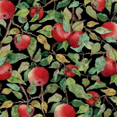 Красные яблоки с листиками.  Стильный акварельный паттерн с фруктами. Ветка яблони на черном фоне