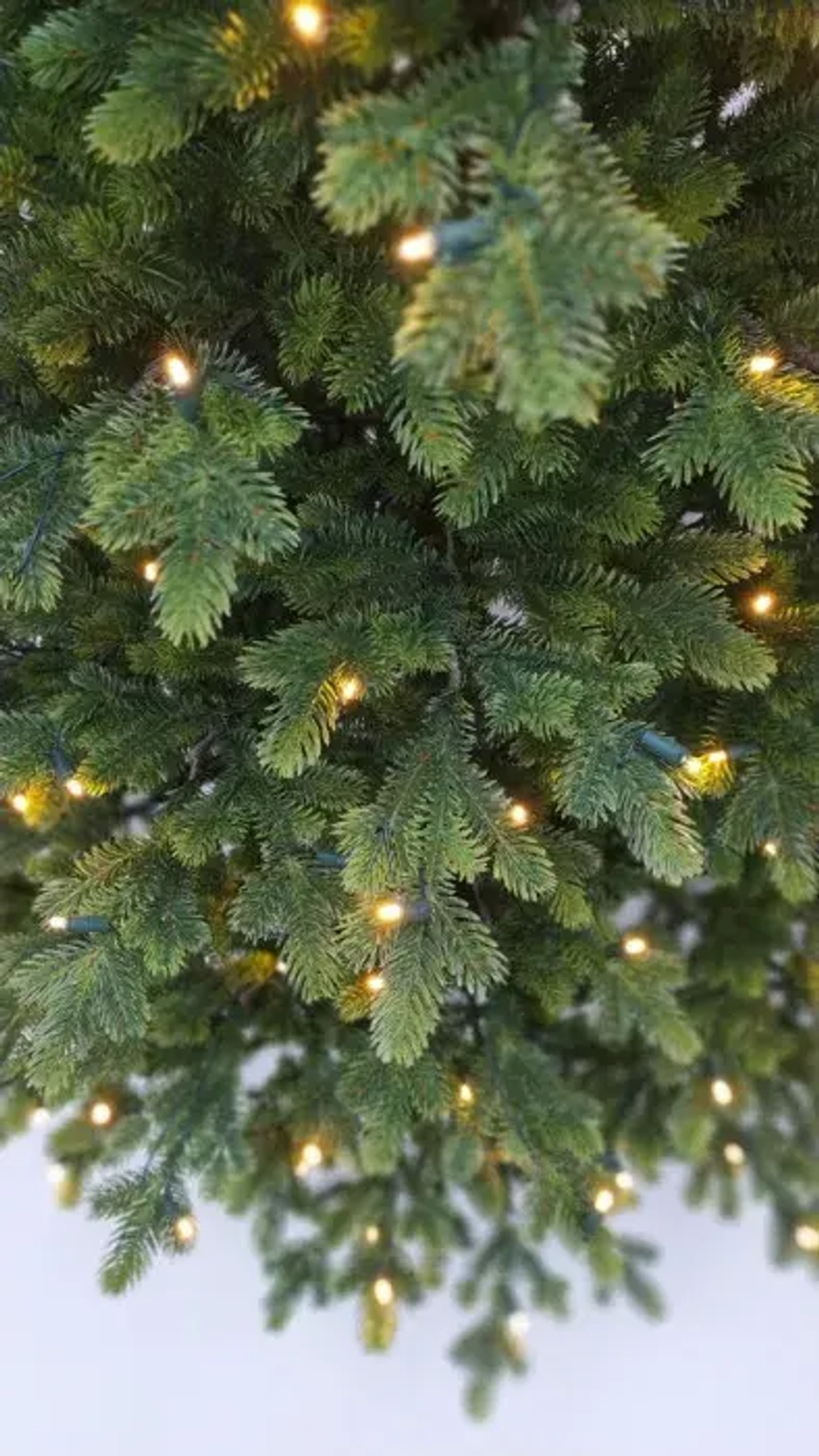 Ель Городская, 100% литая хвоя, 200 ламп, 185 см., Black Box (74545)