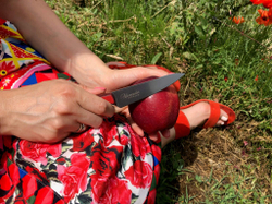 🏆Кухонный нож Alexander S AUS-8 Red G10