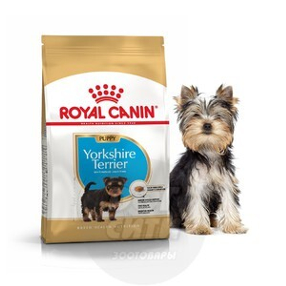 Royal Canin корм сухой для щенков породы йоркширский терьер