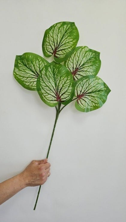 5 листьев на ветке / Арт 6296