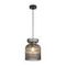 Подвесной светильник Freya Modern FR5558PL-01SM