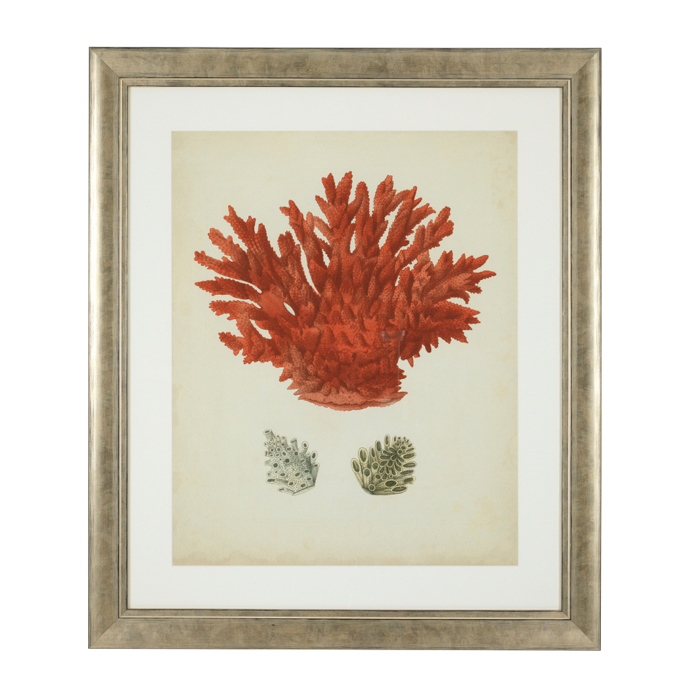 Постер Prints Antique red corals set of 6 арт.111741