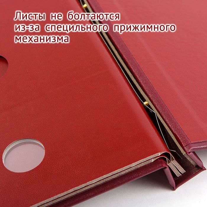 Альбом для памятных монет РФ серии "Российская и советская мультипликация" 8