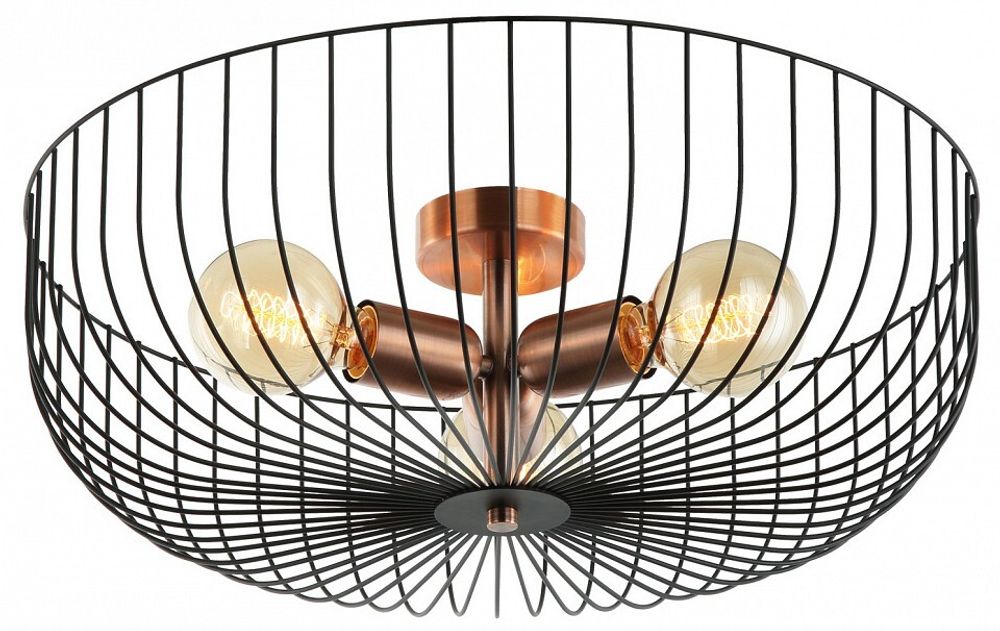 Накладной светильник Lussole Brooks 2 GRLSP-8250