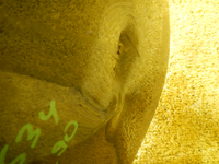 DSCN9036.JPG
