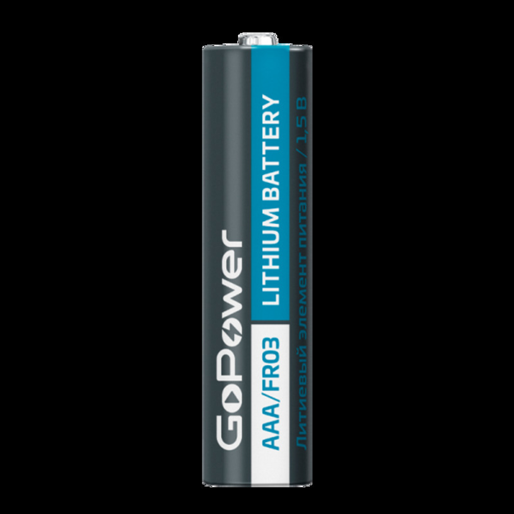 Батарейки GoPower FR6  BL2 Lithium