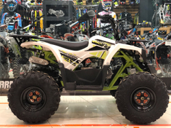 YACOTA FUSION 125 (бело-зеленый)