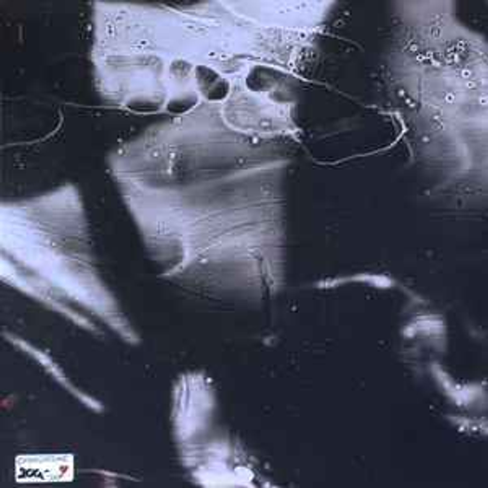 Evanescence- The Bitter Truth (Европа 2021г.) 2LP