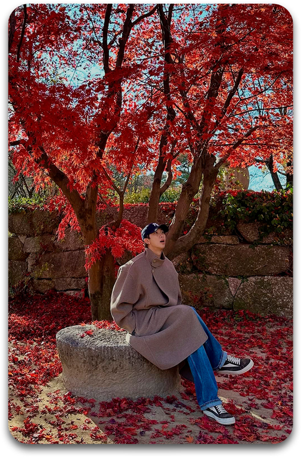 Карта / BTS #1529