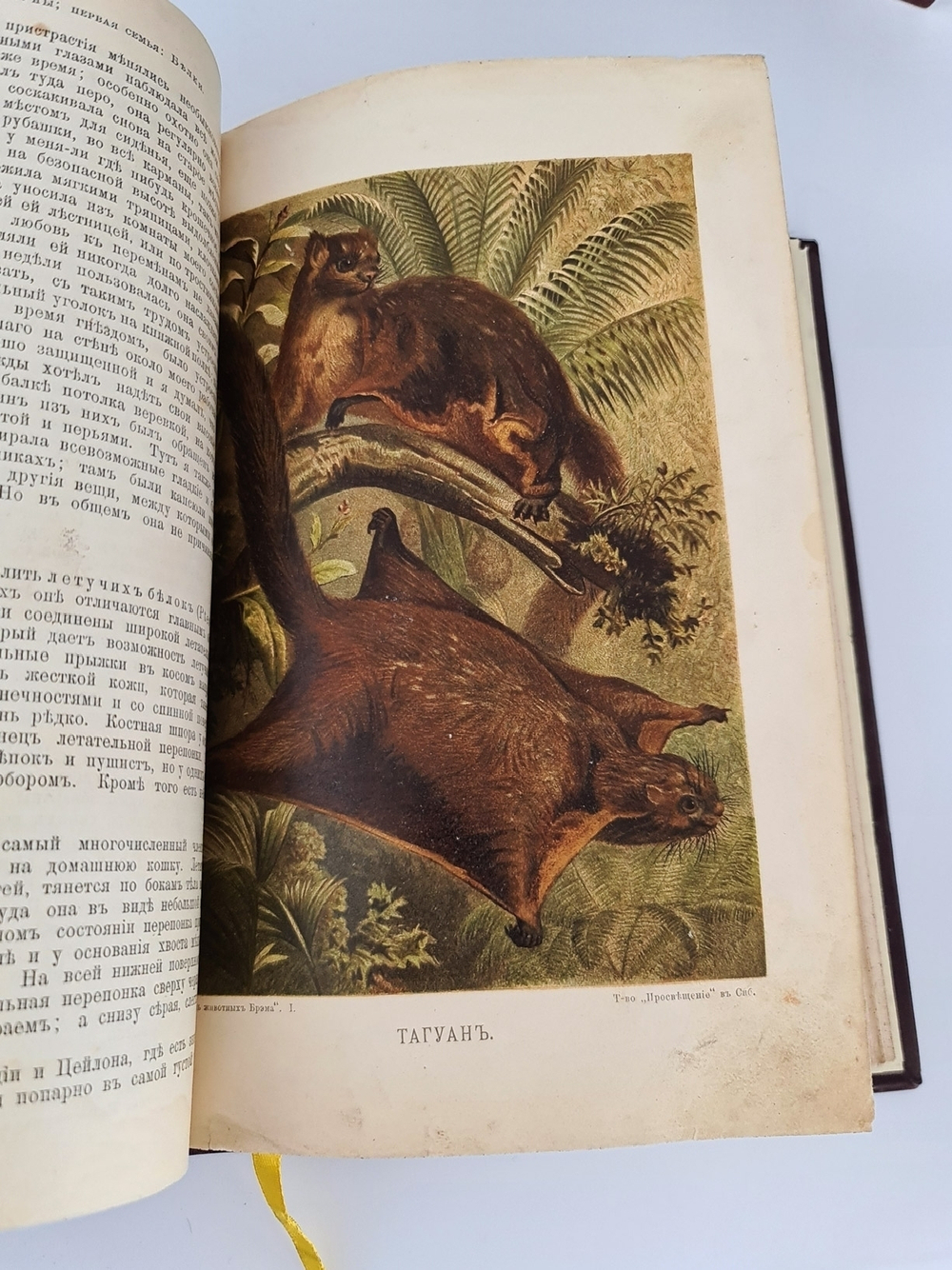 "Жизнь животных". А.Э.Брэм. 1904 г. - антикварная книга