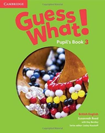 Guess What! Level 3 Pupil's Book