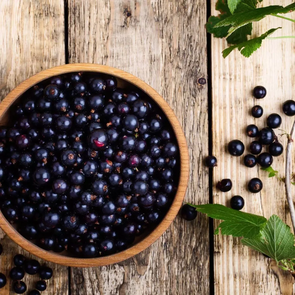 Отдушка Black Currant (Черная Смородина)