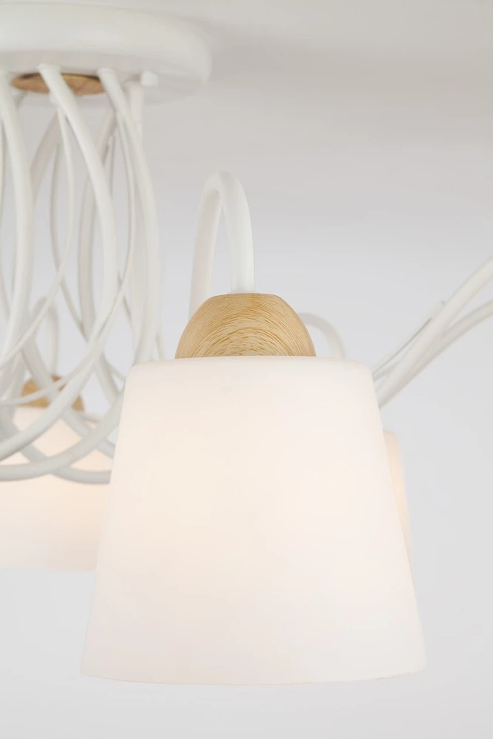 Потолочная люстра Eurosvet BETTY 70062/8 4690389113291