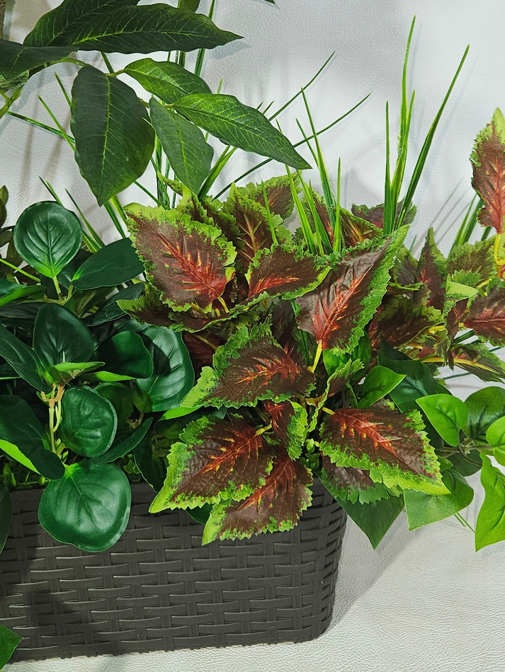 Искусственное растение Кофе с колеусом 75см в длинном кашпо