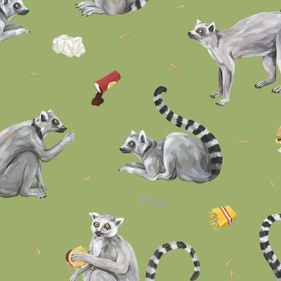 Лемуры на салатовом фоне