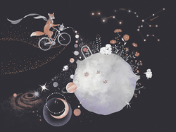 Коллекция COSMOS 25