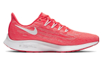 Кроссовки Nike Pegasus 36 (Женская размерная сетка)
