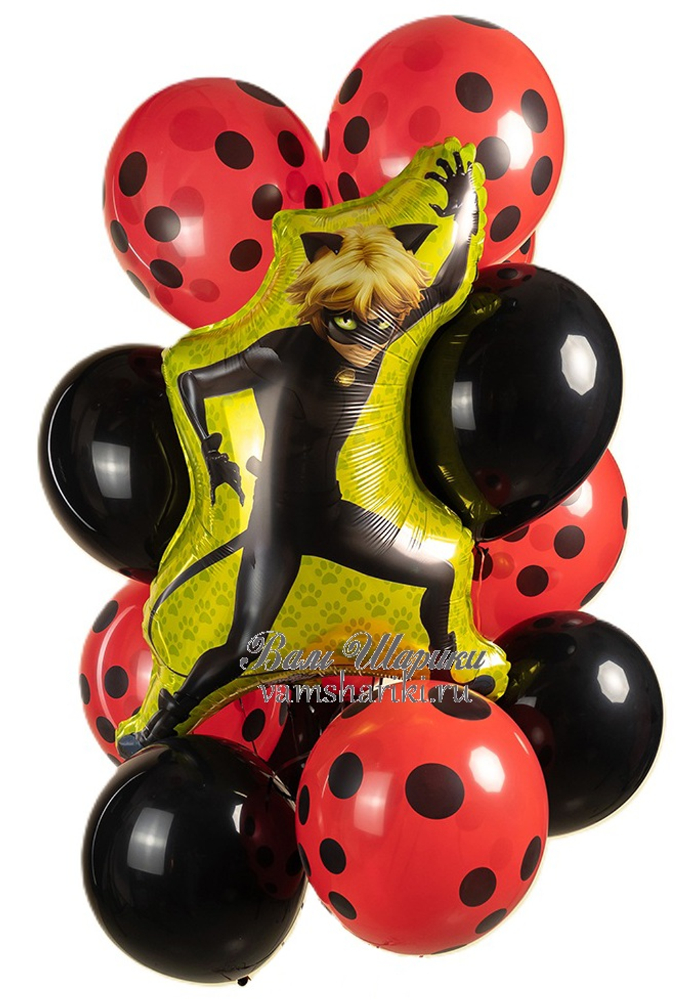 Купить шарики с гелием с героем Супер кот