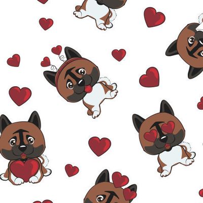 щенки Американской акиты с сердечками