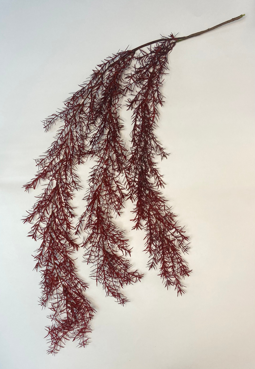 Аспарагус красный силикон