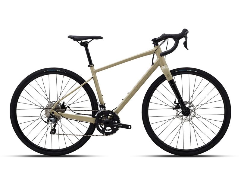 Велосипед гравийный Polygon Path X4