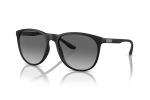 Emporio Armani EA4210 500111