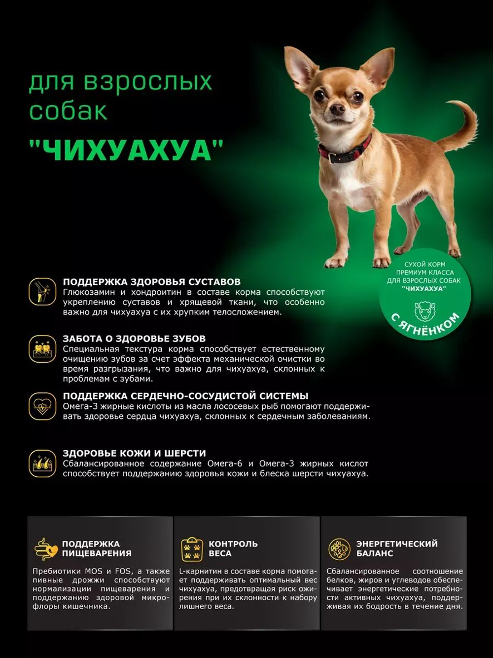 Корм сухой для взрослых собак породы Чихуахуа, с ягненком, 3 кг, QUATTRO