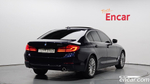 BMW 5 Series (G30) 520i Luxury (05.2020)