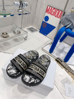 Christian Dior Dway Slide
